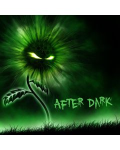 After Dark