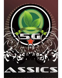 Assics 5g